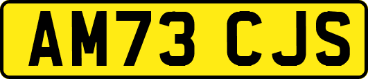 AM73CJS