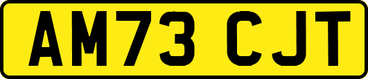 AM73CJT