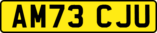 AM73CJU
