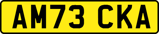 AM73CKA