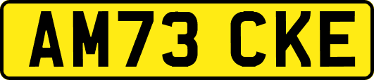 AM73CKE