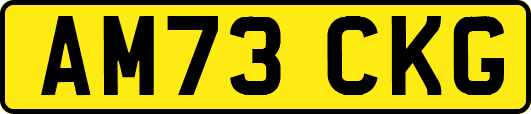 AM73CKG
