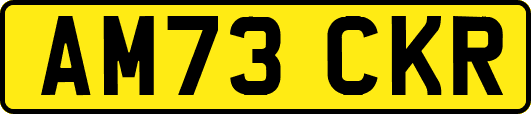AM73CKR