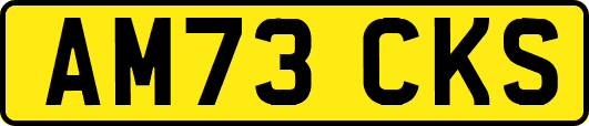 AM73CKS