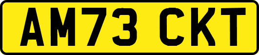 AM73CKT