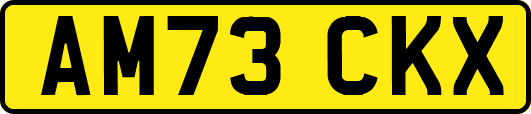 AM73CKX