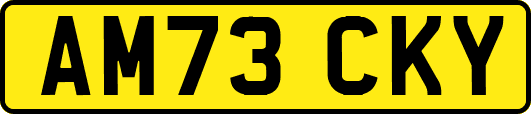 AM73CKY