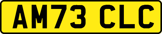 AM73CLC