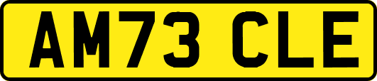 AM73CLE