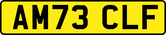 AM73CLF
