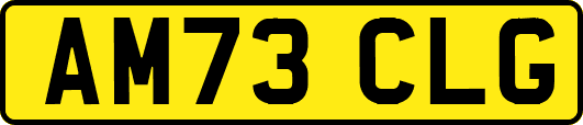 AM73CLG