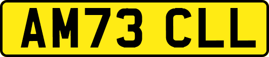 AM73CLL