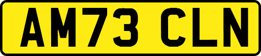 AM73CLN