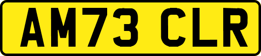 AM73CLR