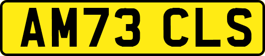 AM73CLS