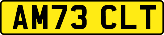 AM73CLT