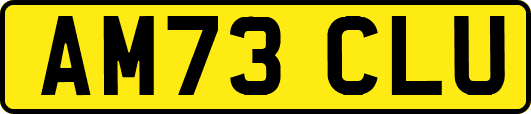 AM73CLU