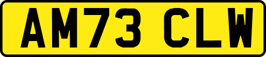 AM73CLW