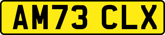 AM73CLX