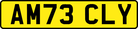 AM73CLY