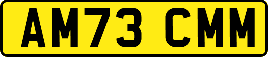 AM73CMM