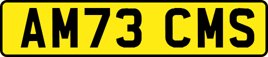 AM73CMS