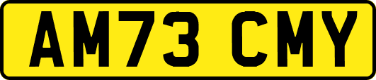 AM73CMY