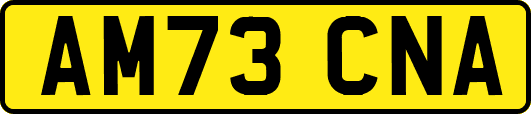 AM73CNA
