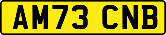 AM73CNB