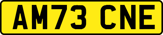 AM73CNE