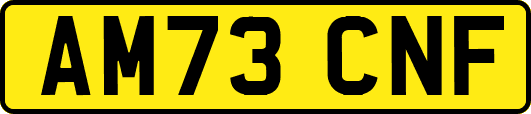 AM73CNF