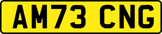 AM73CNG