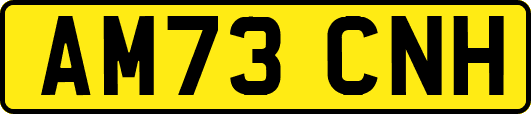 AM73CNH