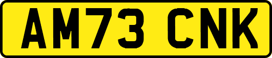 AM73CNK
