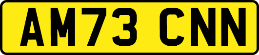AM73CNN