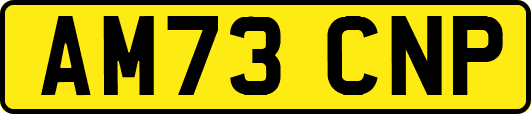 AM73CNP