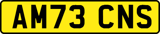 AM73CNS