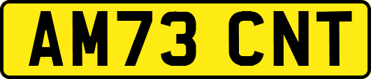 AM73CNT