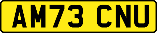 AM73CNU