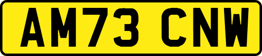 AM73CNW