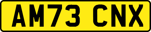 AM73CNX