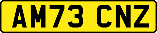 AM73CNZ