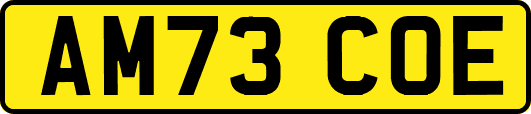 AM73COE