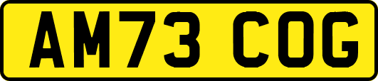 AM73COG