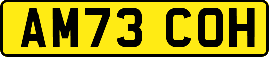 AM73COH