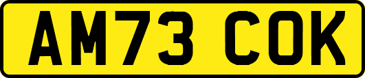 AM73COK