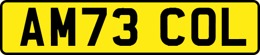 AM73COL