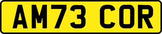 AM73COR