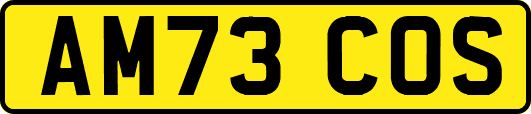 AM73COS