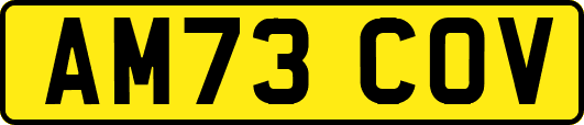 AM73COV